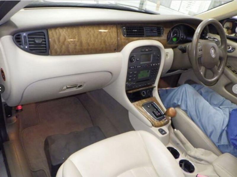 Фото донора 4