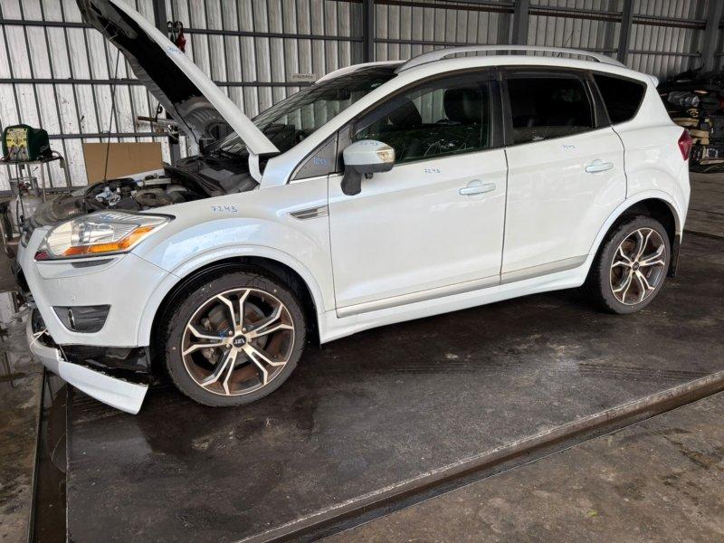 Фото донора 10