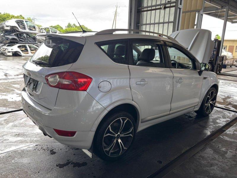 Фото донора 11