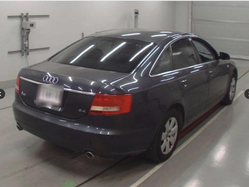 Фото донора 3