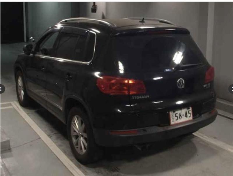 Фото донора 3