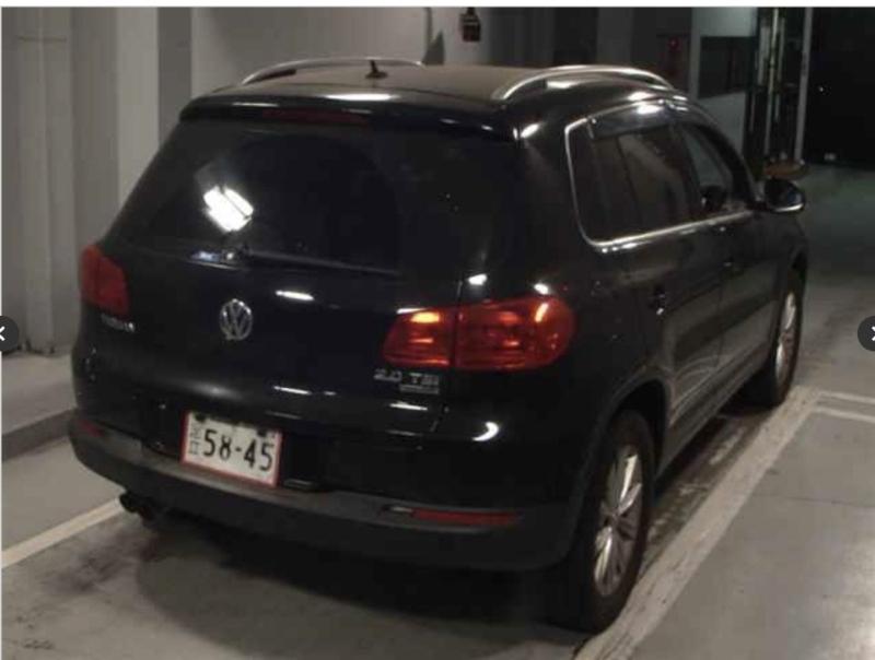 Фото донора 4