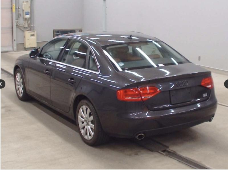 Фото донора 4