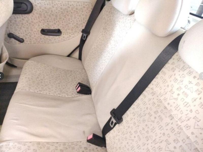 Фото донора 7