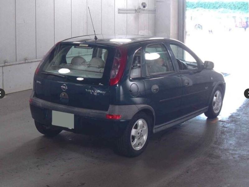 Фото донора 4