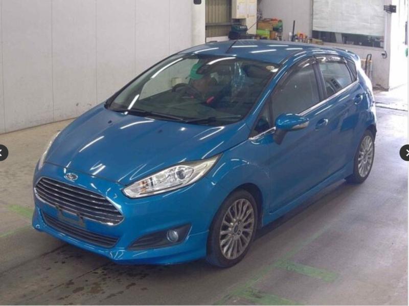 Фото донора 3