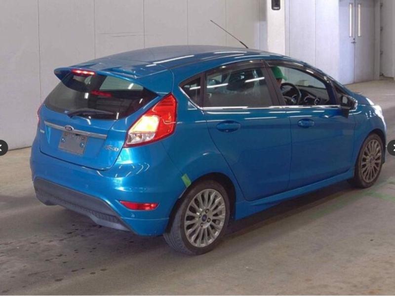 Фото донора 4