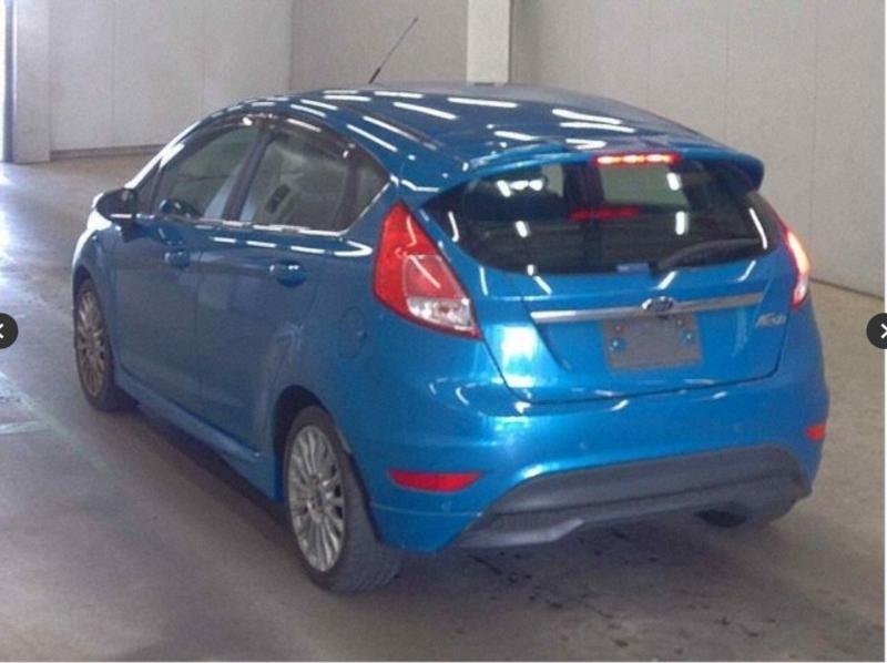 Фото донора 5