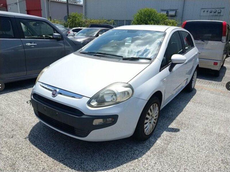 Фото донора 3