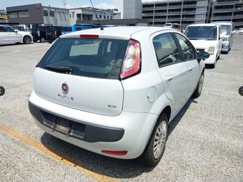 Фото донора 4