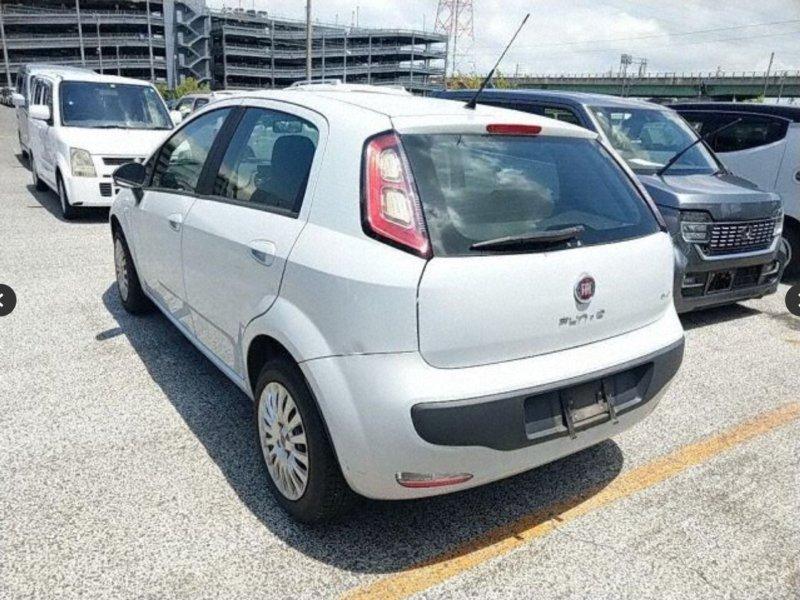 Фото донора 5