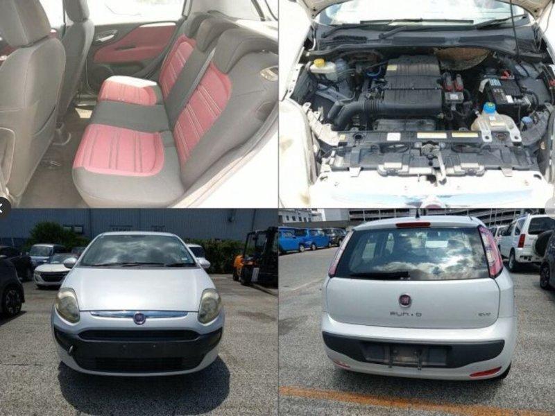 Фото донора 6