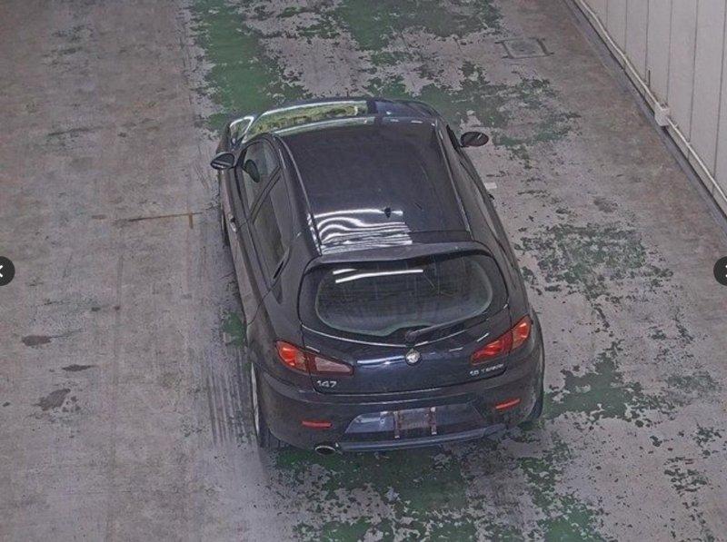 Фото донора 3