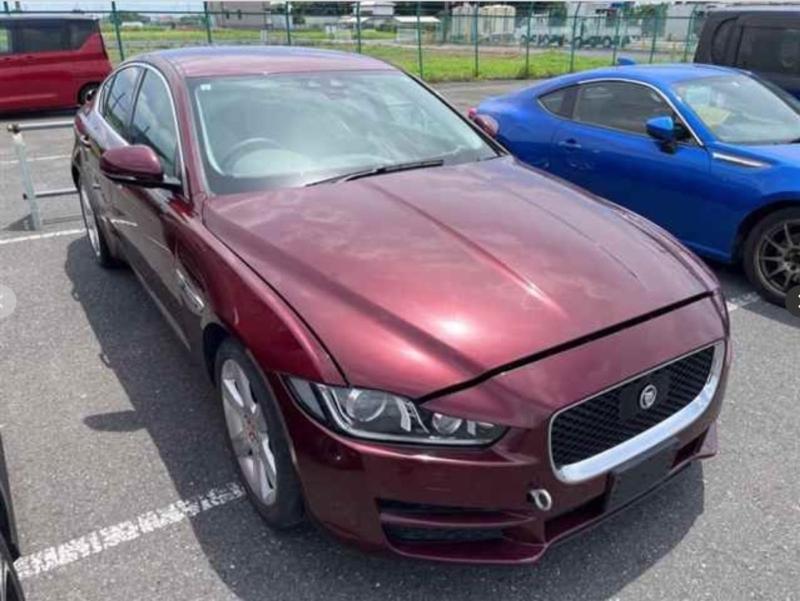 Фото донора 1