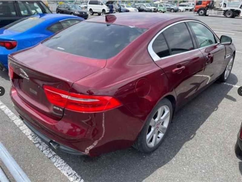 Фото донора 4