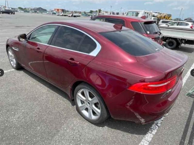 Фото донора 5