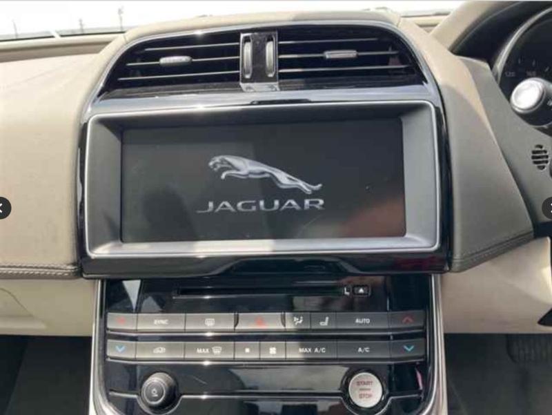 Фото донора 8