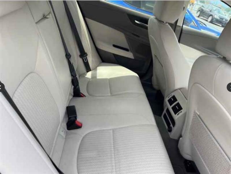 Фото донора 9