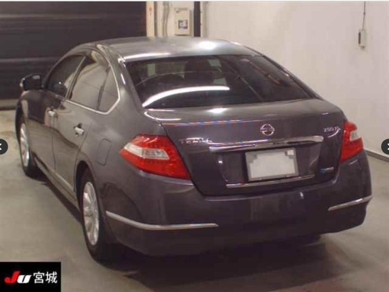 Фото донора 3