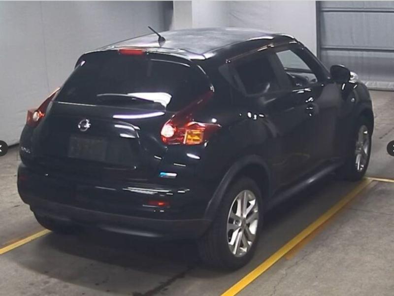 Фото донора 3