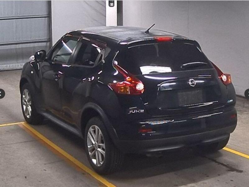 Фото донора 4