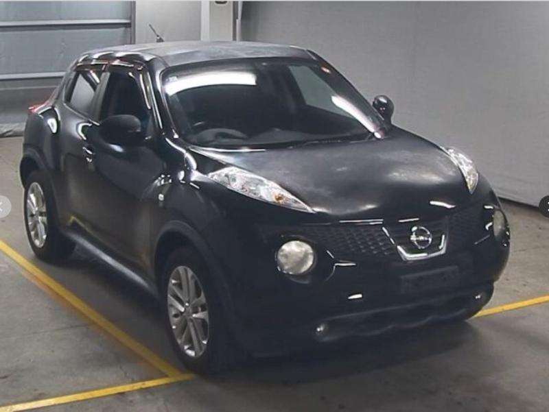 Фото донора 7