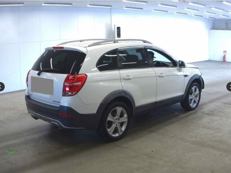 Фото донора 4