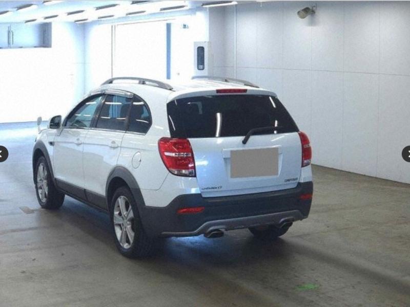 Фото донора 5