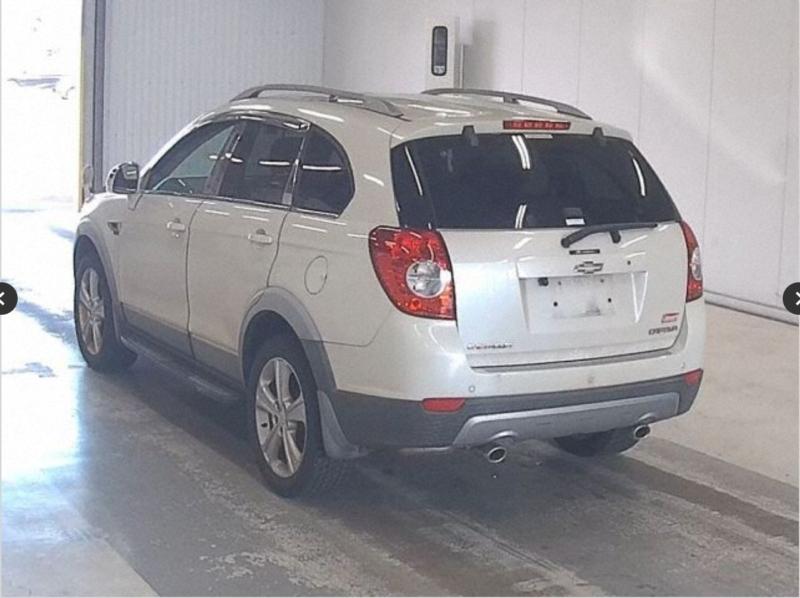 Фото донора 5