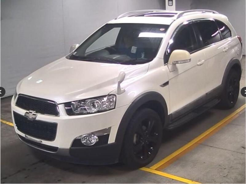 Фото донора 3