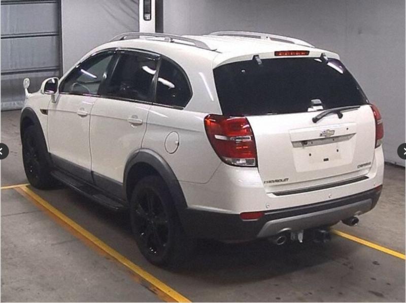 Фото донора 5