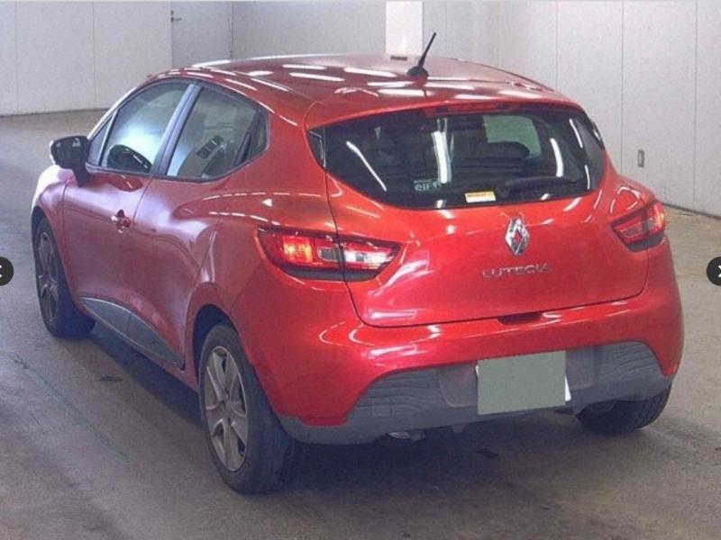 Фото донора 6