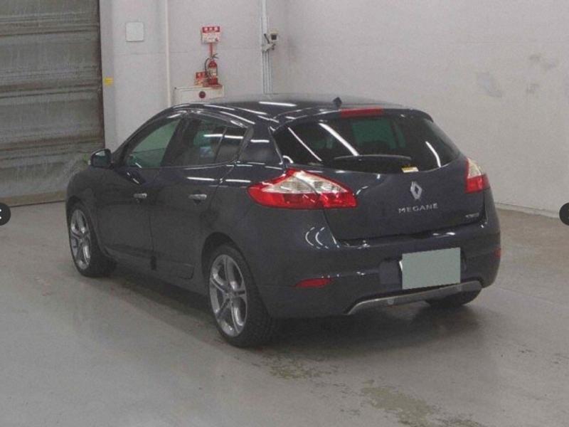 Фото донора 3