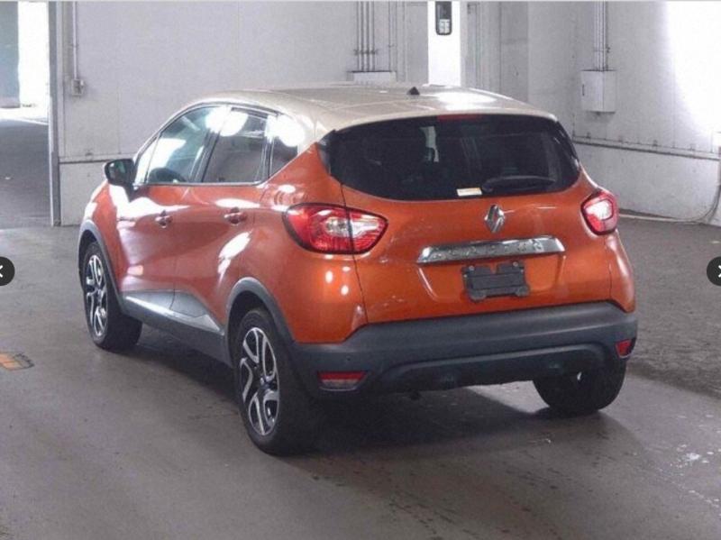 Фото донора 4