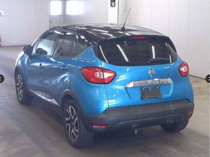 Фото донора 4