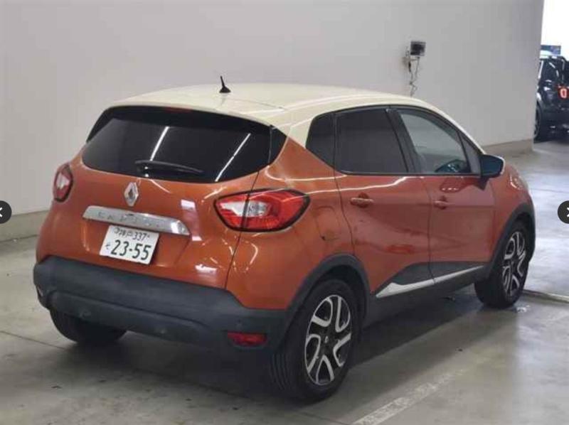 Фото донора 5