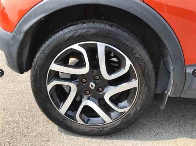 Фото донора 6