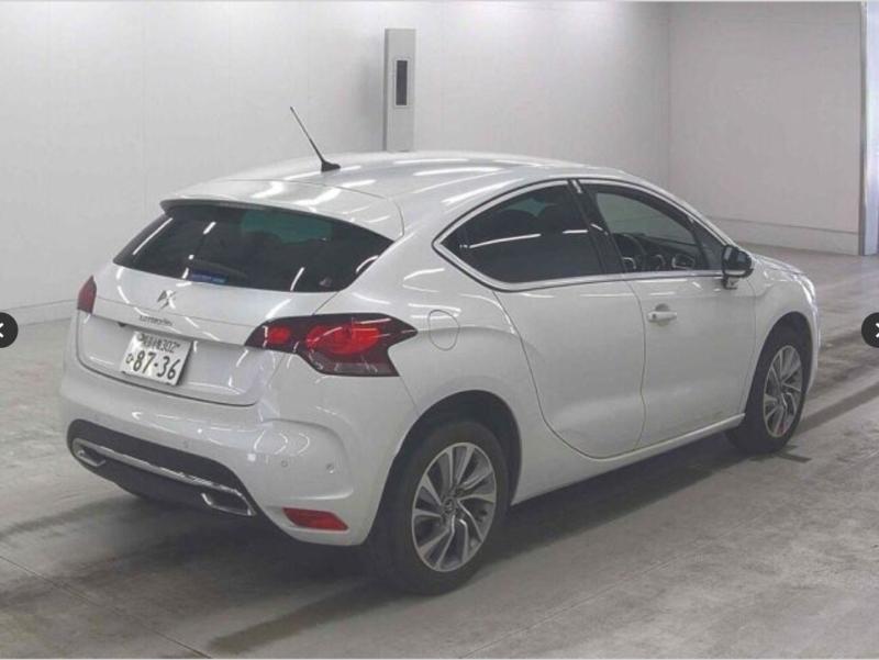 Фото донора 5