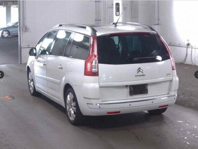 Фото донора 4