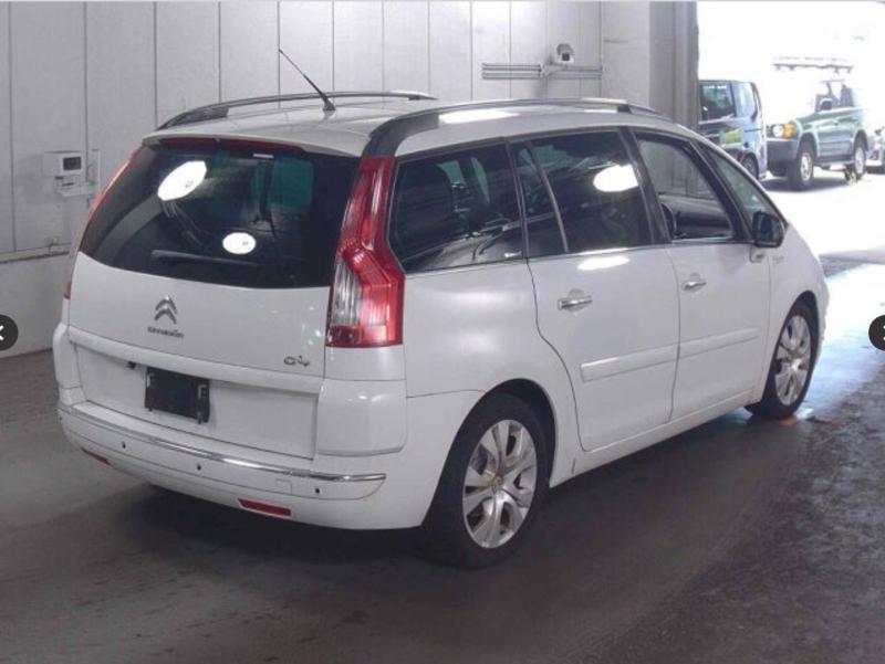 Фото донора 5