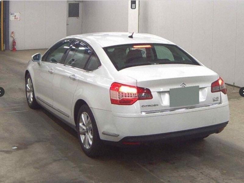 Фото донора 4