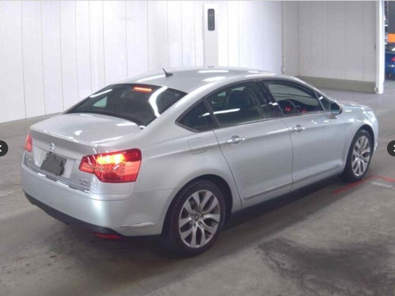 Фото донора 5