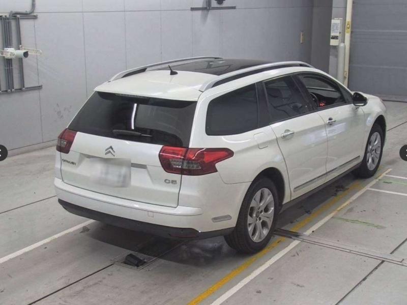 Фото донора 4