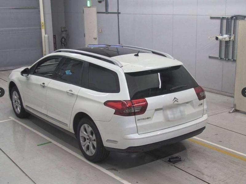 Фото донора 5