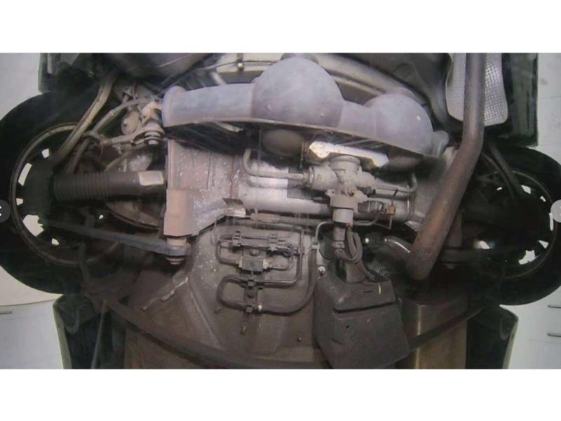 Фото донора 12