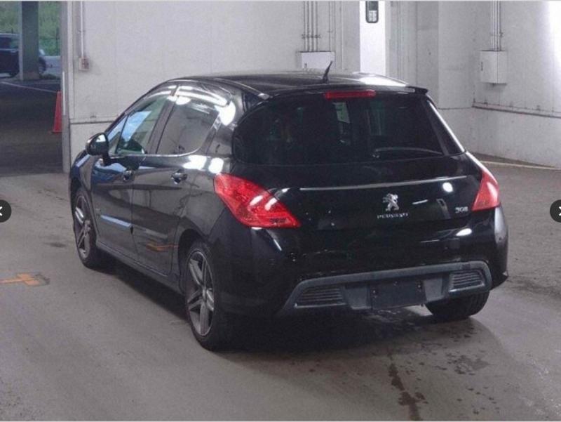 Фото донора 4