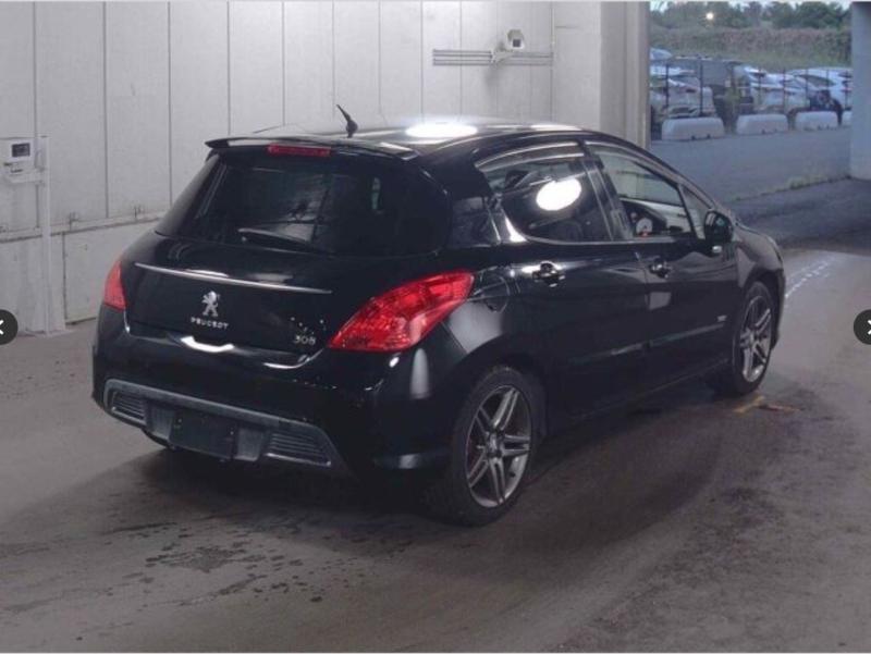 Фото донора 5