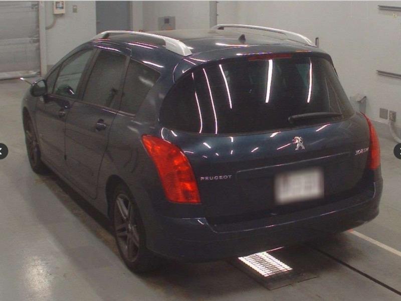 Фото донора 5