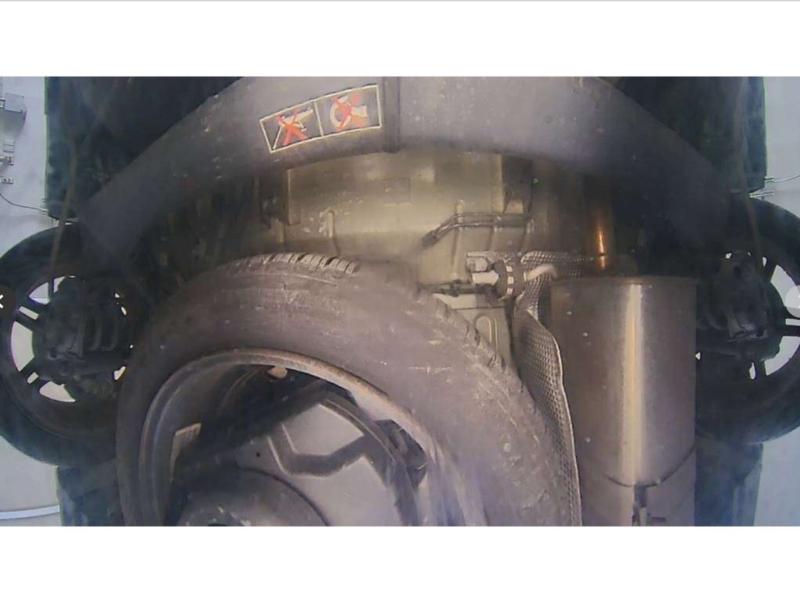 Фото донора 12