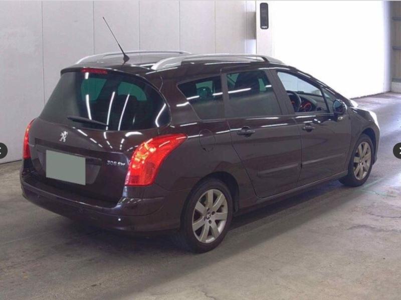 Фото донора 5